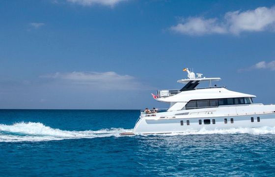 Vanquish VQ82