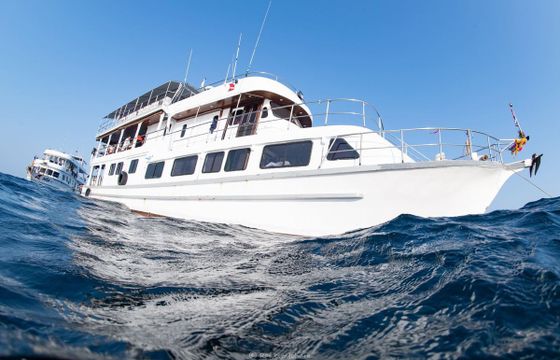 M/Y 89