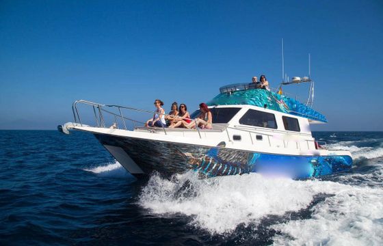 M/Y 43