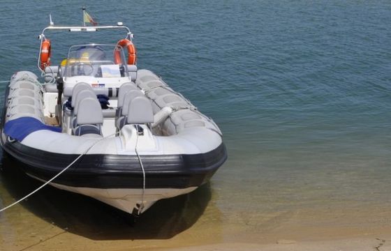 Valiant 230