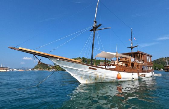 Sail Wooden Phinisi  Boat