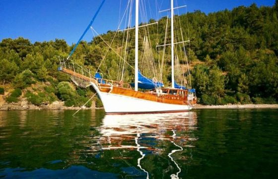 Gulet 85