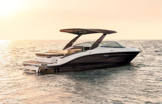 Sea Ray SDX 250