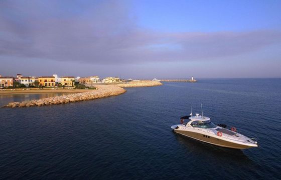 Sea Ray 425