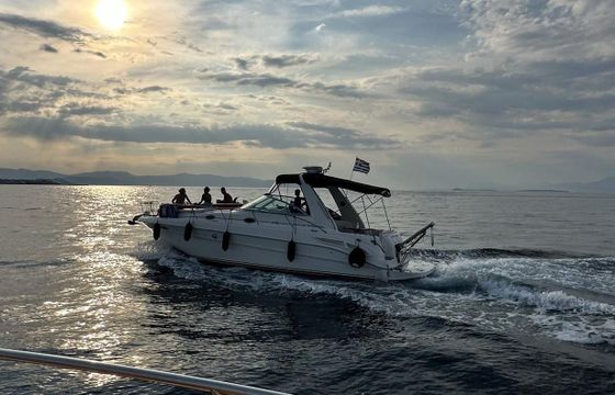 Sea Ray Sundancer