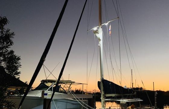 Wellington Cutter 44