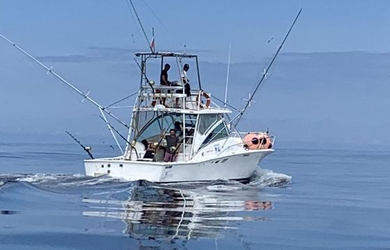 Luhrs 32 tournament
