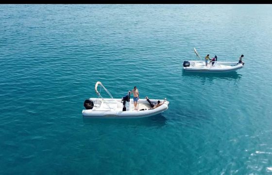 RIB AL100