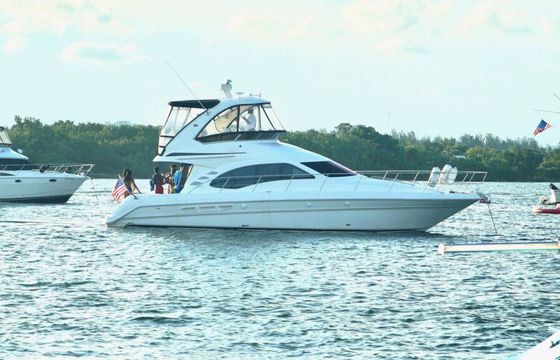 Sea Ray Sedan Bridge 46