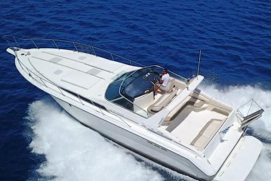 Sea Ray Sundancer 450