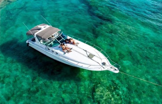 Sea Ray Express