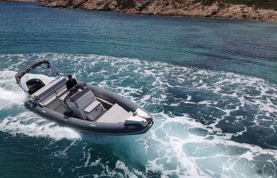 Ribco Scorpion