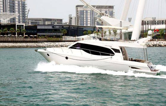 Majesty Oryx 43