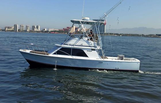 Blackfin 32