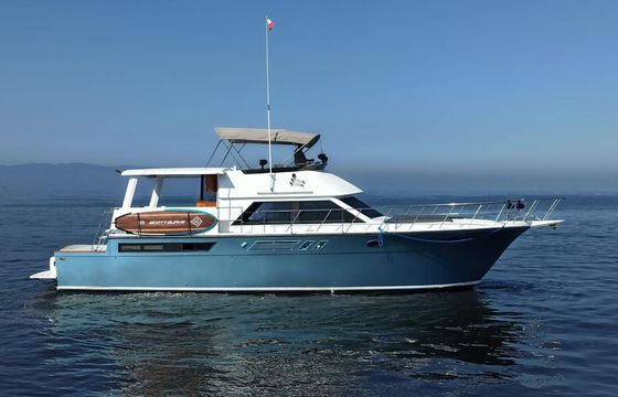 Custom 50