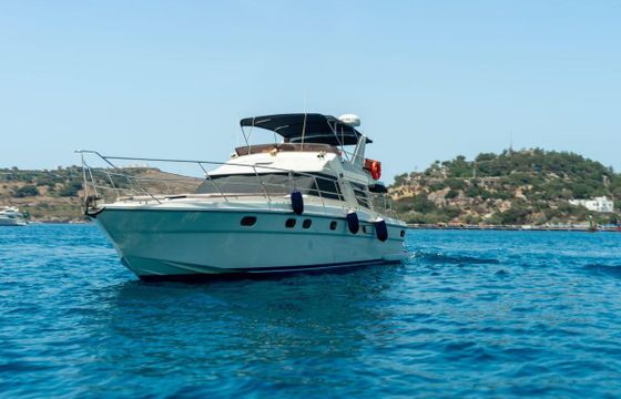 M/Y 17m