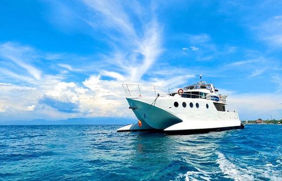 Austal 72