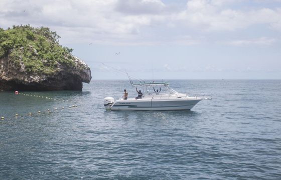 Proline 32 Express
