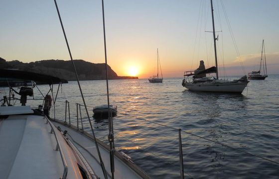 Bavaria 44
