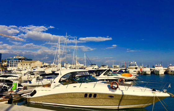 Sea Ray 425