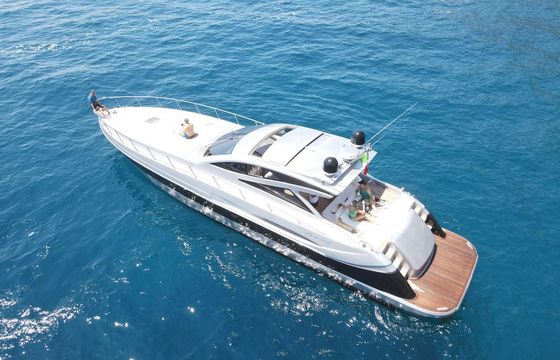Alfamarine Alfamarine