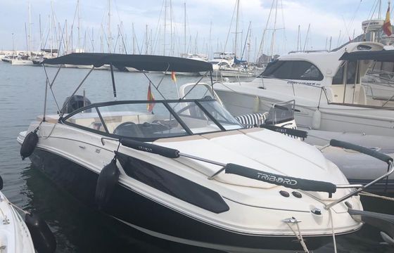 Bayliner Cuddy VR5