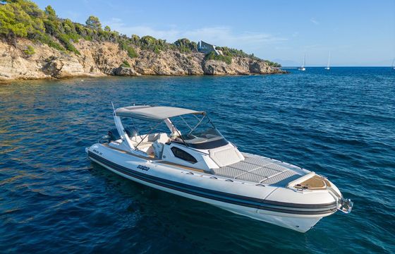 Salpa Soleil 33