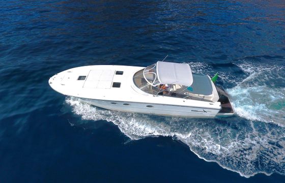 M/Y 43