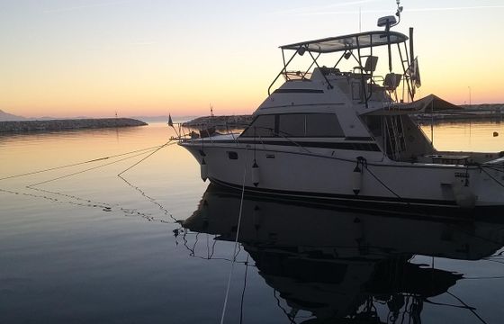 Bertram 38