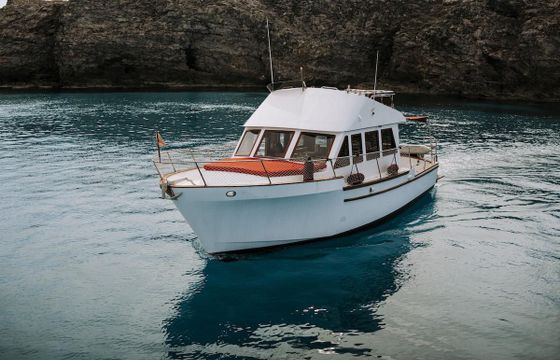 C-Kip Ranger 36