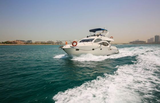 Majesty 50