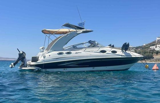 Glastron Gs289