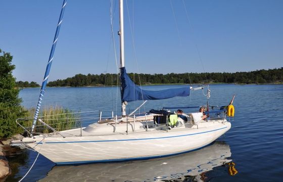 Robertson and Caine Comfort 30