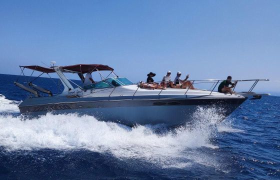 Wellcraft Grandsport