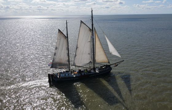 M/S 79