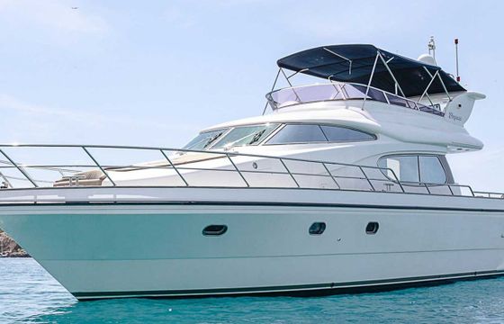 Elegance 54 Fly