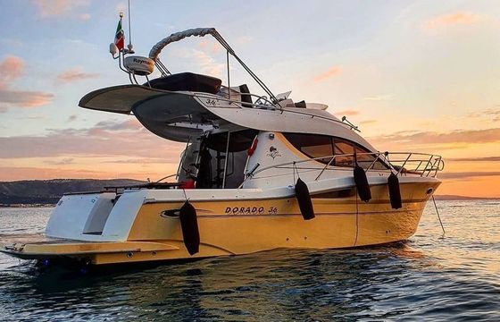 Sessa Dorado 36