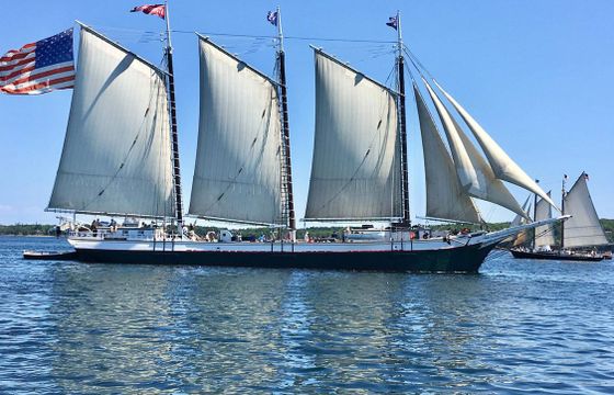Traditional Schooner