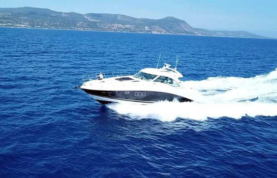 M/Y 62