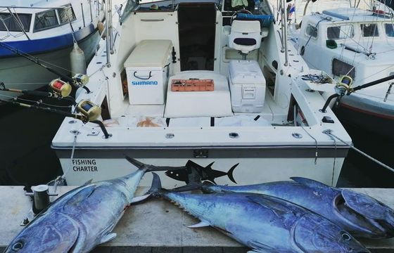Luhrs 27
