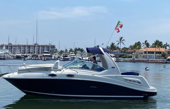 Sea Ray Sundancer 260