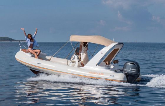 Aquamax B-20F