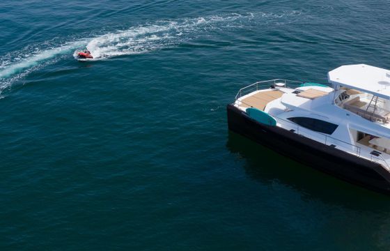 Leopard 51