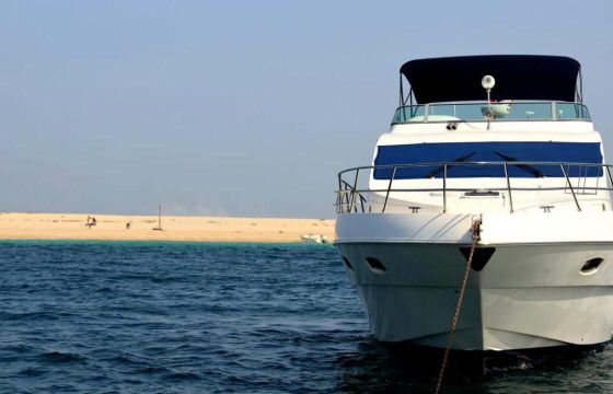 Majesty 60