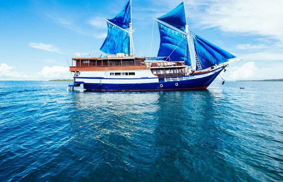 Traditional Wooden Schooner 108