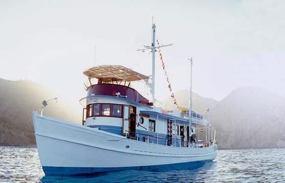 Custom Trawler 63