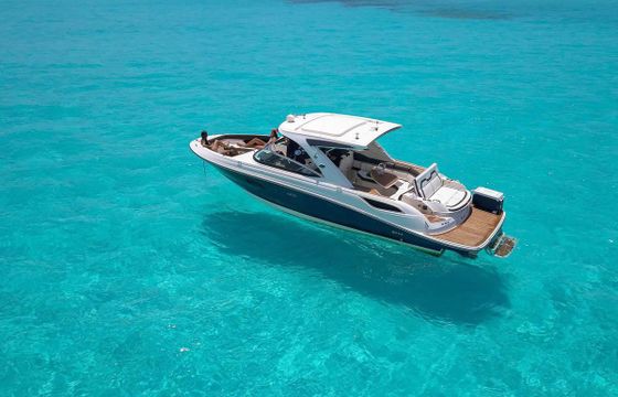 Sea Ray SDX 35