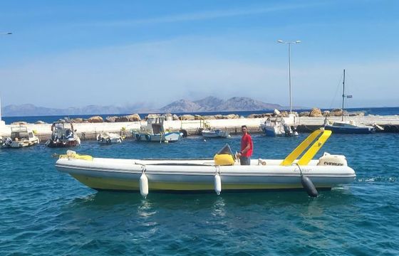 Laser Rib 2020