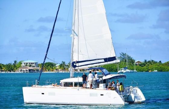 Lagoon 40 ft
