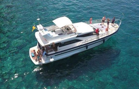 Astondoa 49gl